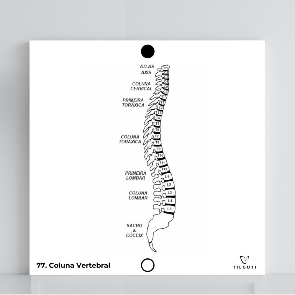 077. Columna vertebral | Tabla radiestésica de PVC