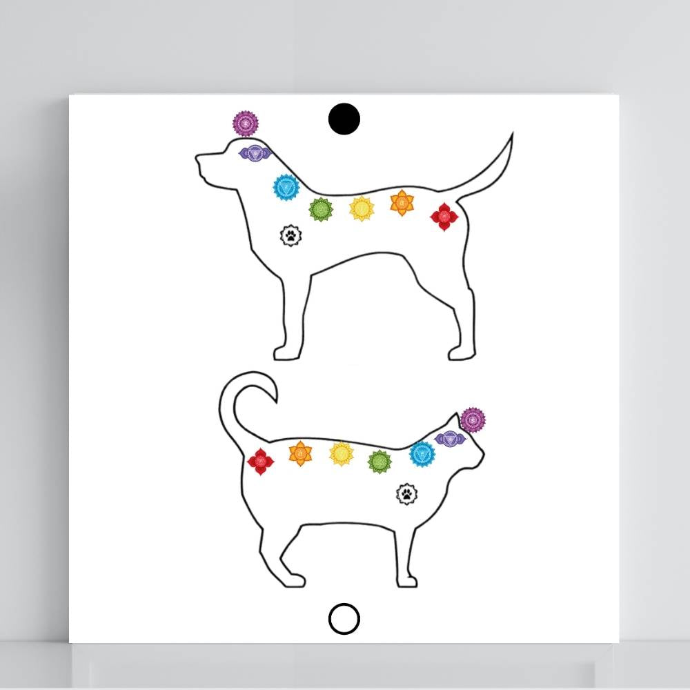 148. Figura Animal (cores) | Gráfico Radiestésico em PVC