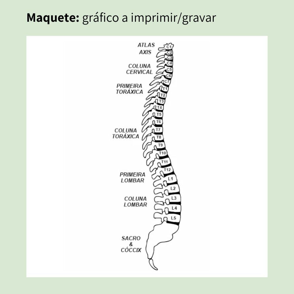 077. Coluna Vertebral | Gráfico Radiestésico em MDF Cru