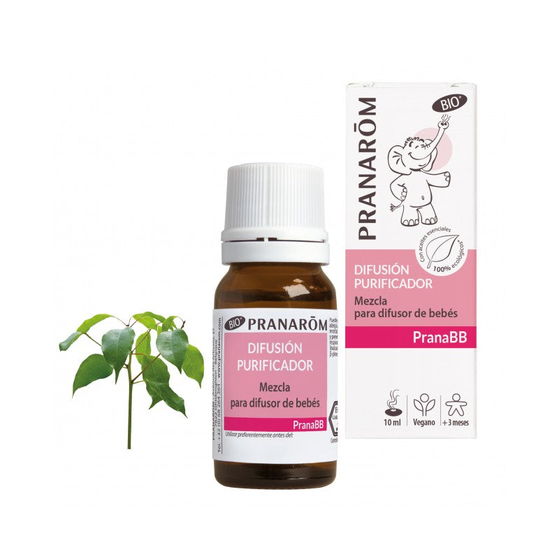 Mezcla purificadora orgánica para difusión PranaBB (10 ml)