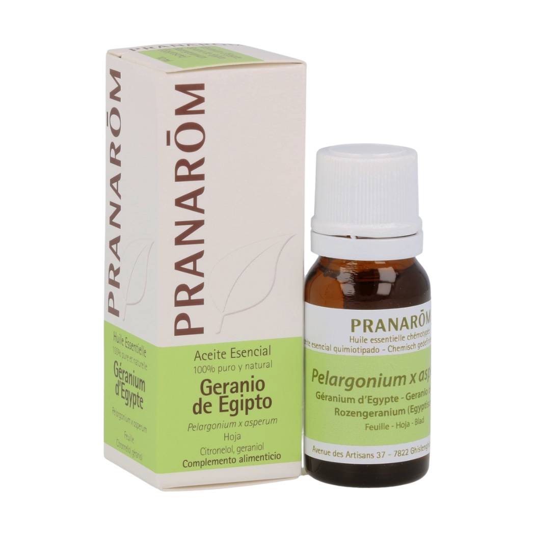 Aceite esencial de geranio egipcio orgánico (10 ml)