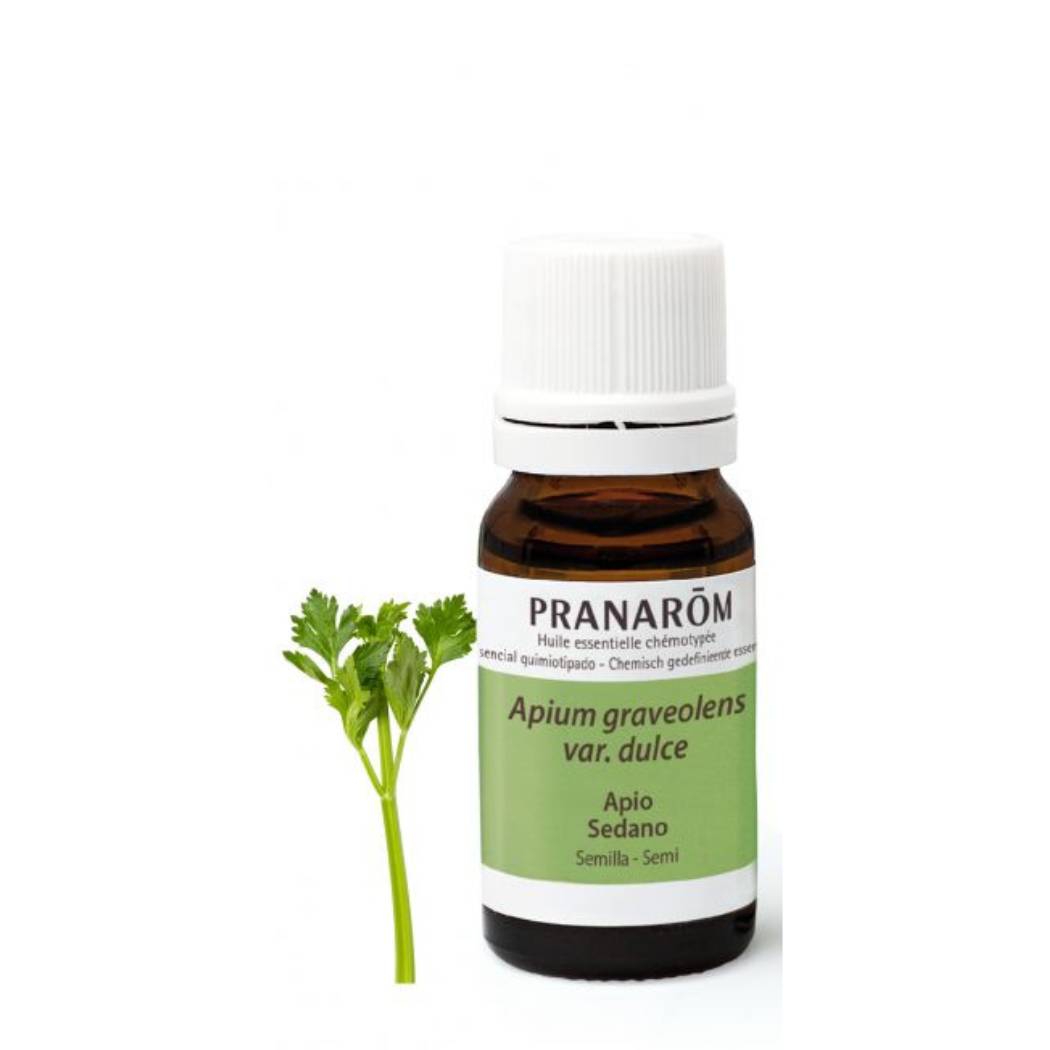 Aceite esencial de apio (semilla) (10 ml)