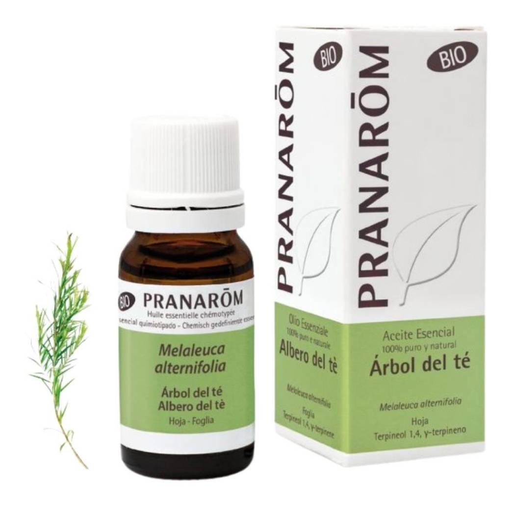 Aceite esencial de árbol de té orgánico (10 ml)