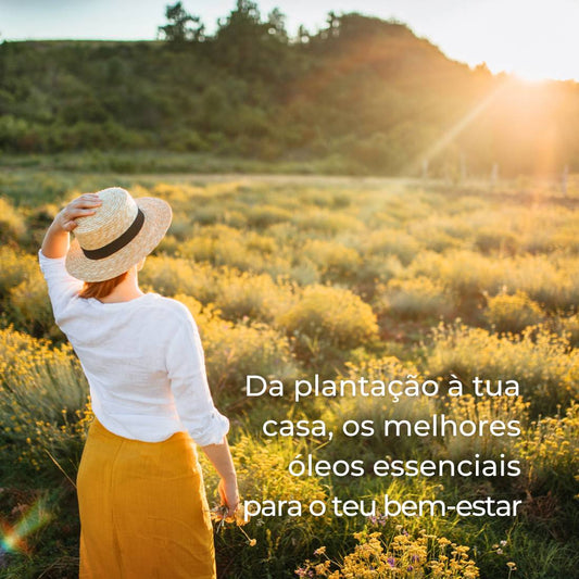 Segredos Tilguti: como escolher Óleos Essenciais de qualidade