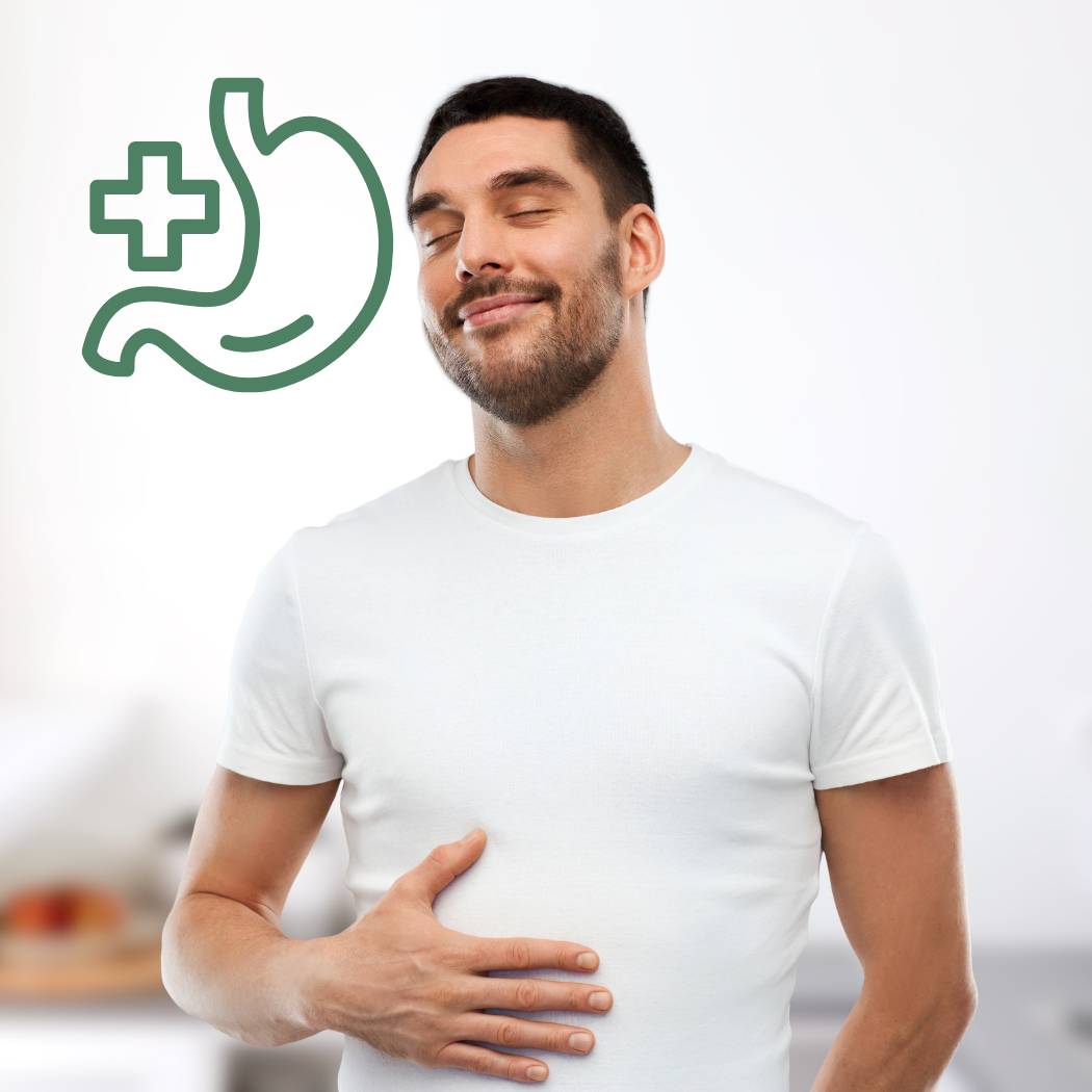 Digestão e Trânsito Intestinal