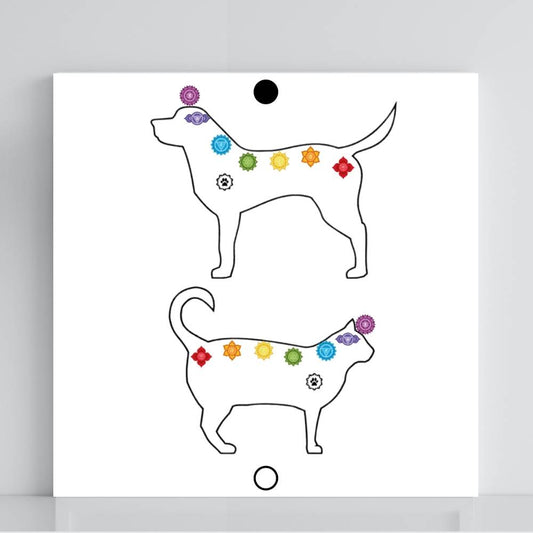 148. Figura Animal (cores) | Gráfico Radiestésico em PVC