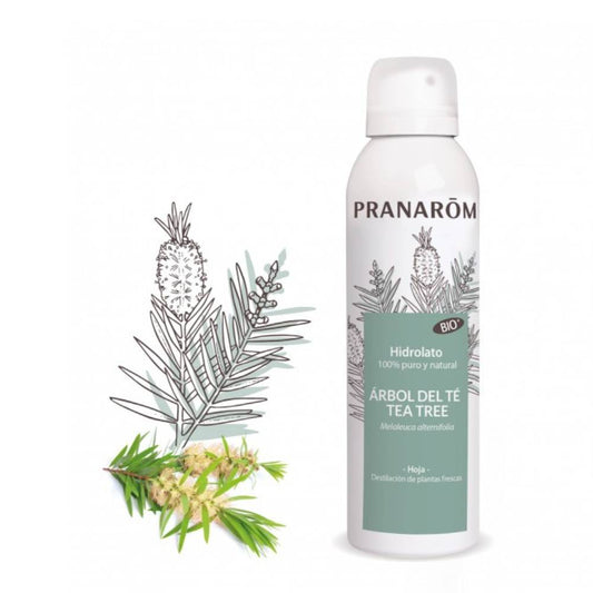 Hidrolato de árbol de té orgánico - Spray (150 ml) 