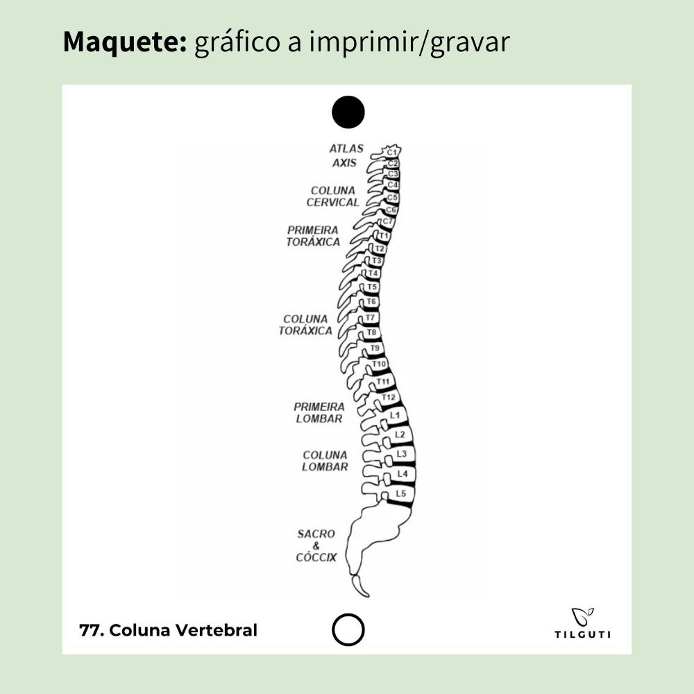077. Coluna Vertebral | Gráfico Radiestésico em MDF Lacado