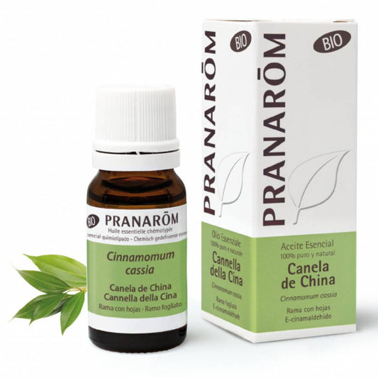 Aceite esencial de canela china orgánica (10 ml)