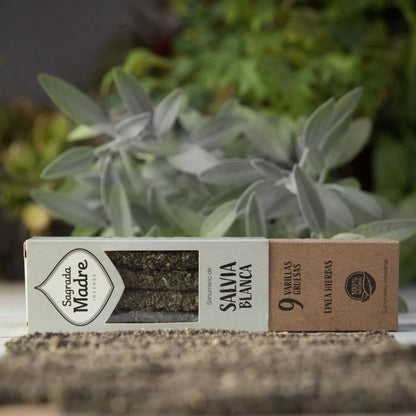 Incenso Natural de Sálvia Branca e Copal – Sagrada Madre