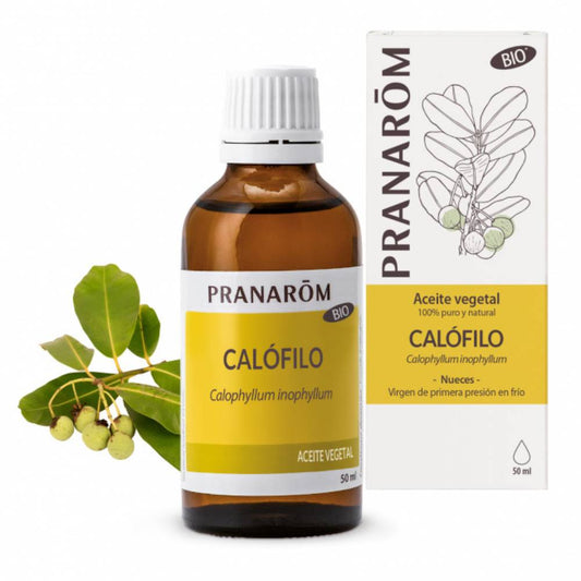 Óleo Vegetal Calófilo Tamanu BIO 50 ml Pranarōm TILGUTI