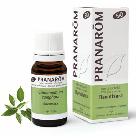 Óleo Essencial Ravintsara BIO 10ml Pranarōm TILGUTI
