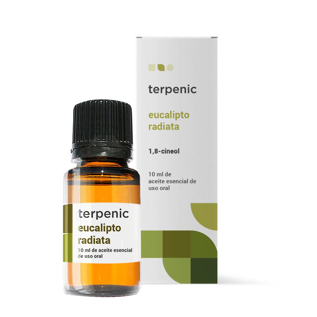 Óleo Essencial Eucalipto Radiata: NAT ou BIO (10ml)