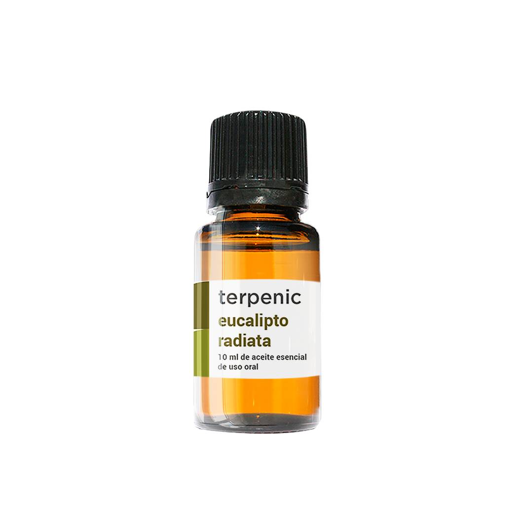 Óleo Essencial Eucalipto Radiata: NAT ou BIO (10ml)
