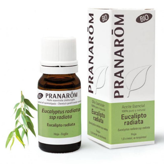 Aceite esencial orgánico de Eucalipto Radiata (10 ml)