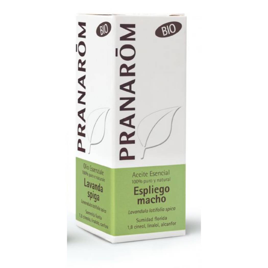 Óleo Essencial Lavanda Spica/Latifólia (Macho) BIO (10ml)