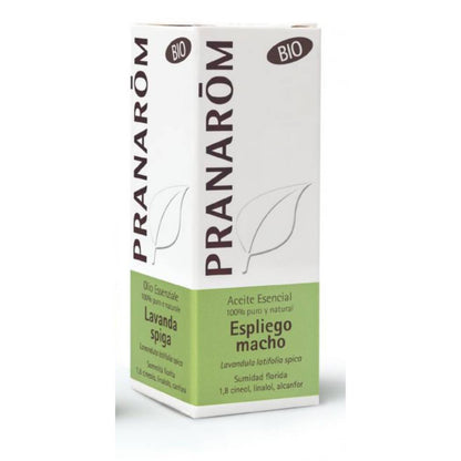 Óleo Essencial Lavanda Spica/Latifólia (Macho) BIO (10ml)