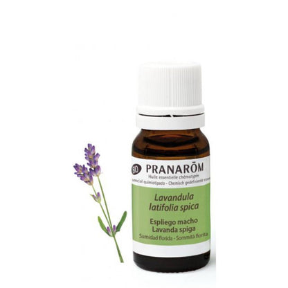 Óleo Essencial Lavanda Spica/Latifólia (Macho) BIO (10ml)