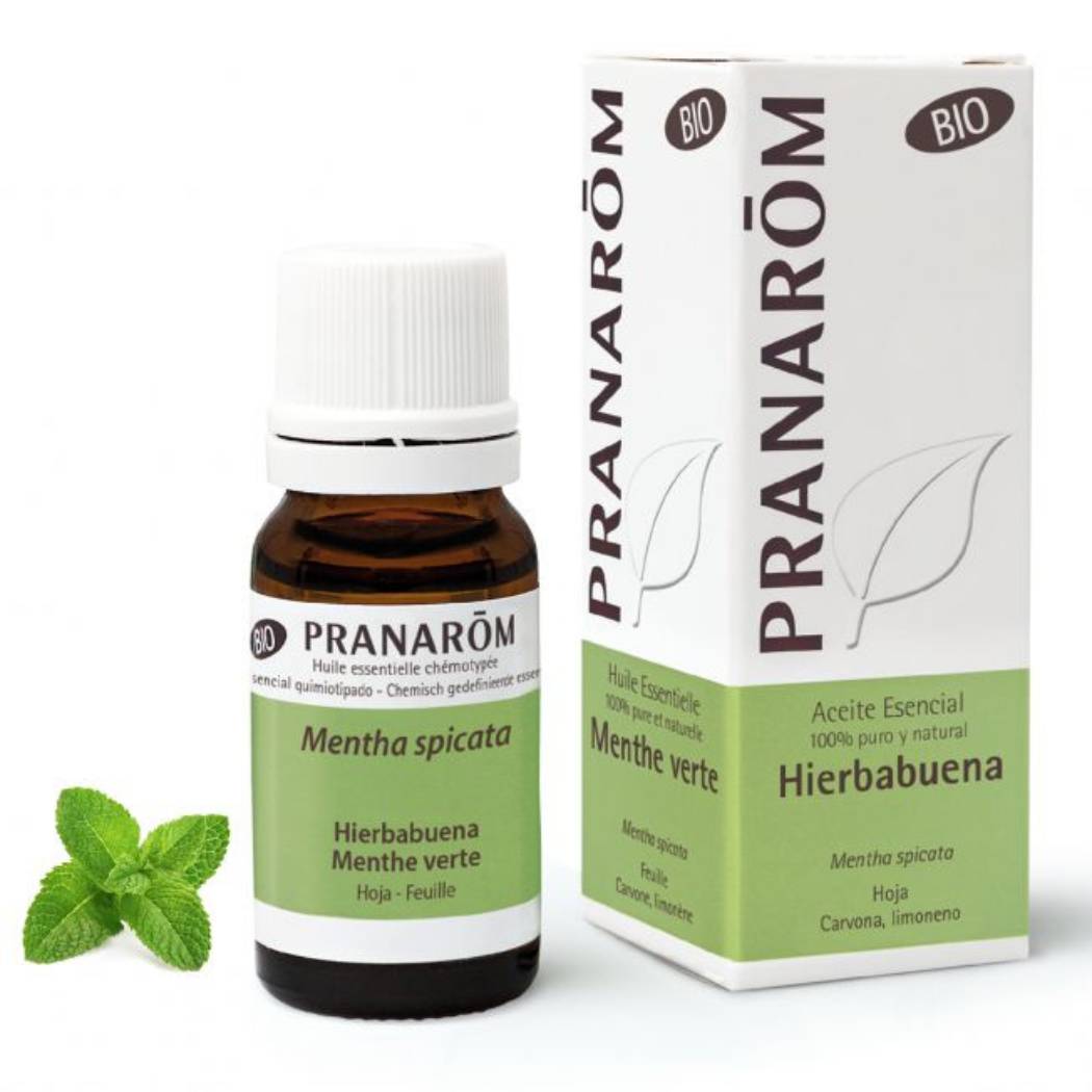 Óleo Essencial Hortelã Verde (Spicata) BIO (10ml)