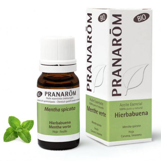 Óleo Essencial Hortelã Verde (Spicata) BIO (10ml)