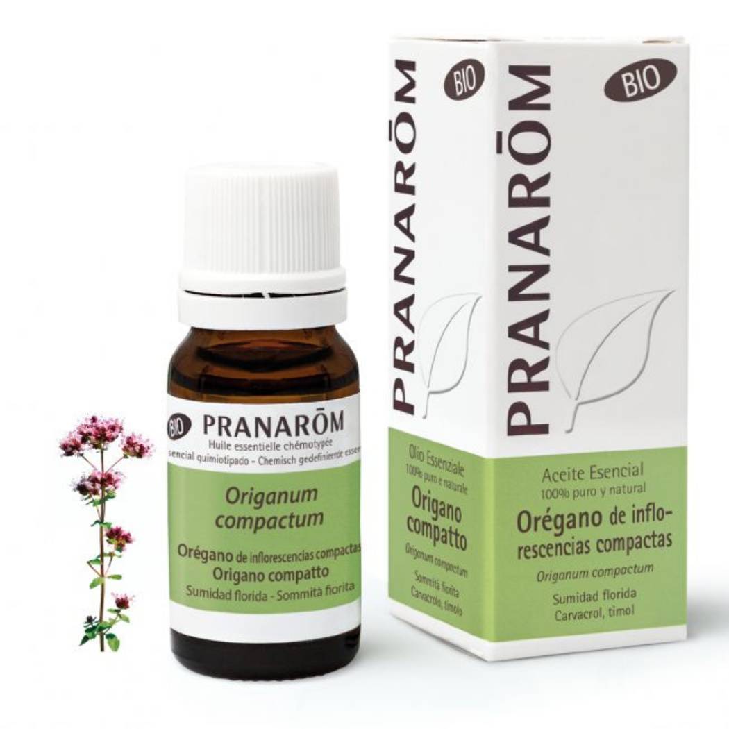 Óleo Essencial Orégão Compactum BIO (10ml)