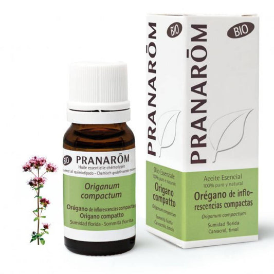 Óleo Essencial Orégão Compactum BIO (10ml)