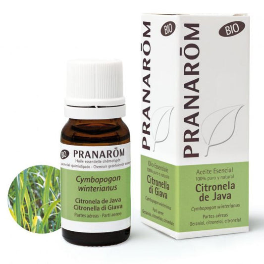 Aceite esencial de citronela orgánica de Java (10 ml)