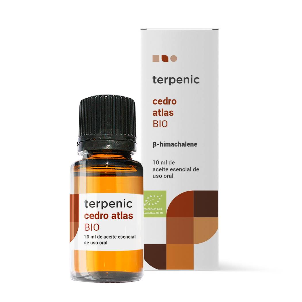 Óleo Essencial Cedro Atlas BIO 10ml Terpenic TILGUTI