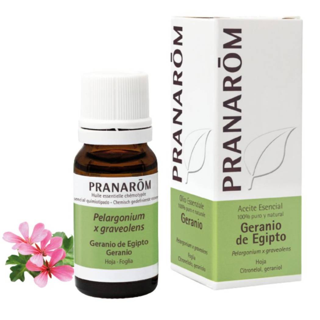 Óleo Essencial Gerânio Egipto BIO 10ml Pranarōm TILGUTI