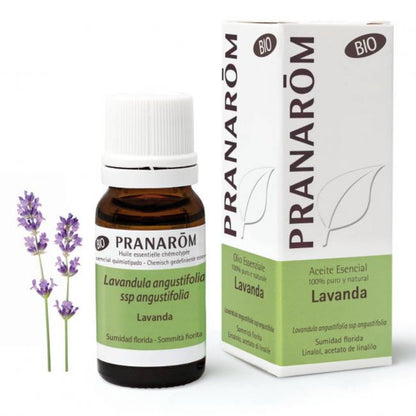 Óleo Essencial Lavanda Angustifólia BIO 10ml Pranarōm TILGUTI