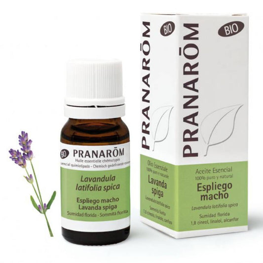Óleo Essencial Lavanda Spica BIO 10ml Pranarōm TILGUTI